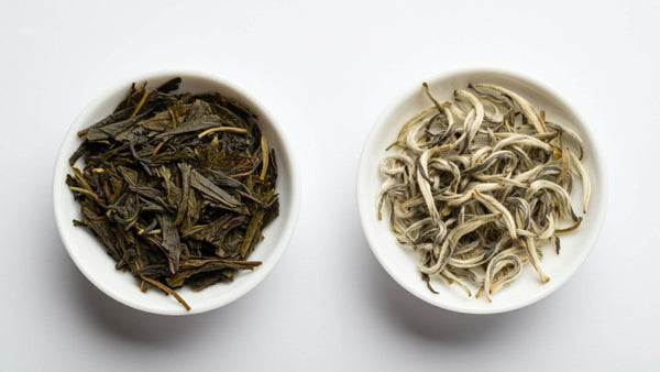 Green Tea vs White Tea: A Comprehensive Comparison