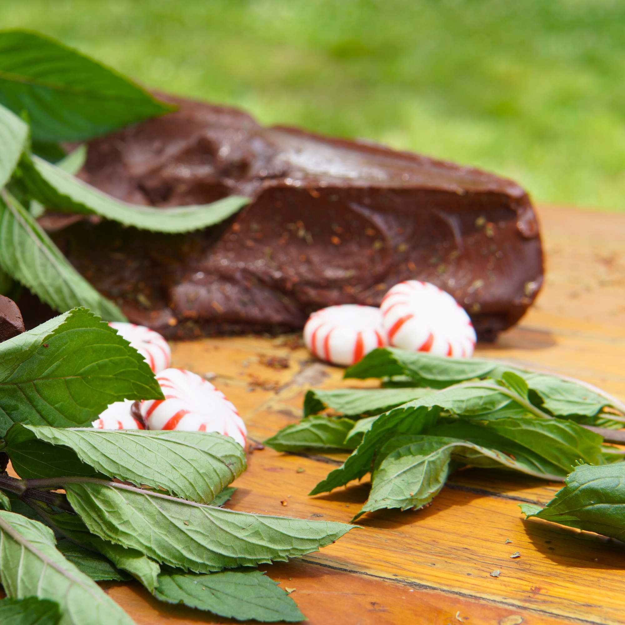 Piper and Leaf Minty Midnight Glass Jar of Loose Leaf - 30 Servings, showing a clear glass jar filled with loose leaf tea.