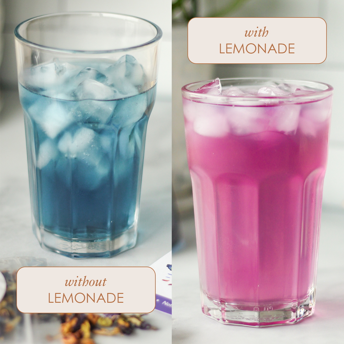 Plum Deluxe Magical Butterfly Herbal Tea (Butterfly Pea Flower / Berries) color change infographic showing tea transformation.