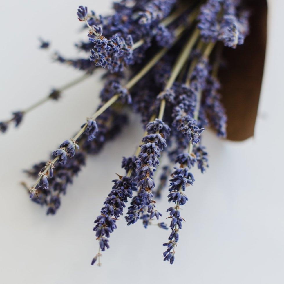 Tea with Tae Lavender Earl Grey Pouch, featuring lavender and bergamot tea blend in a resealable pouch.