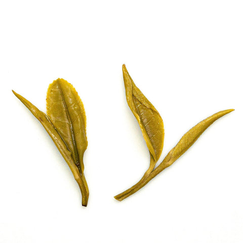 Tea Drunk Multi-Vintage Huang Ya Tea Tasting Set