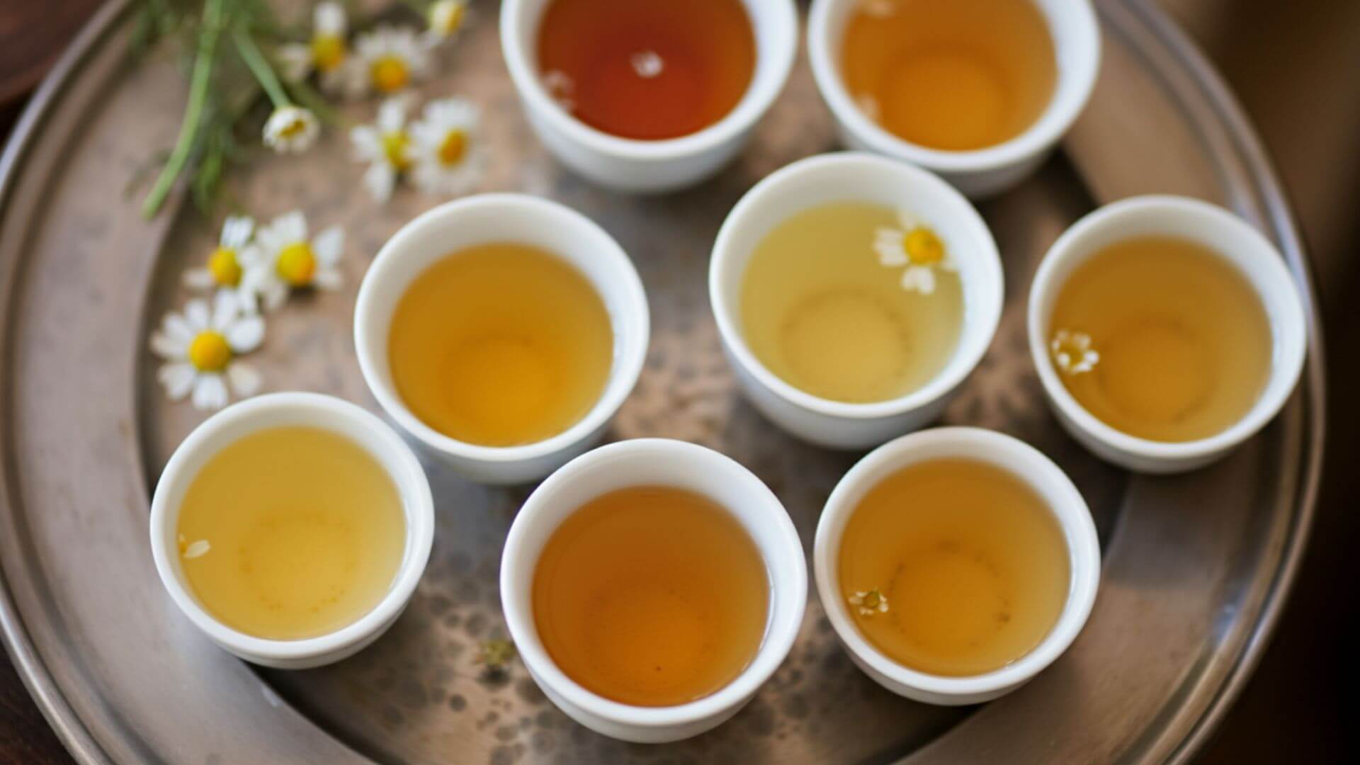Seven small bowls filled with chamomile tea liquid are arranged on a light silver metal tray