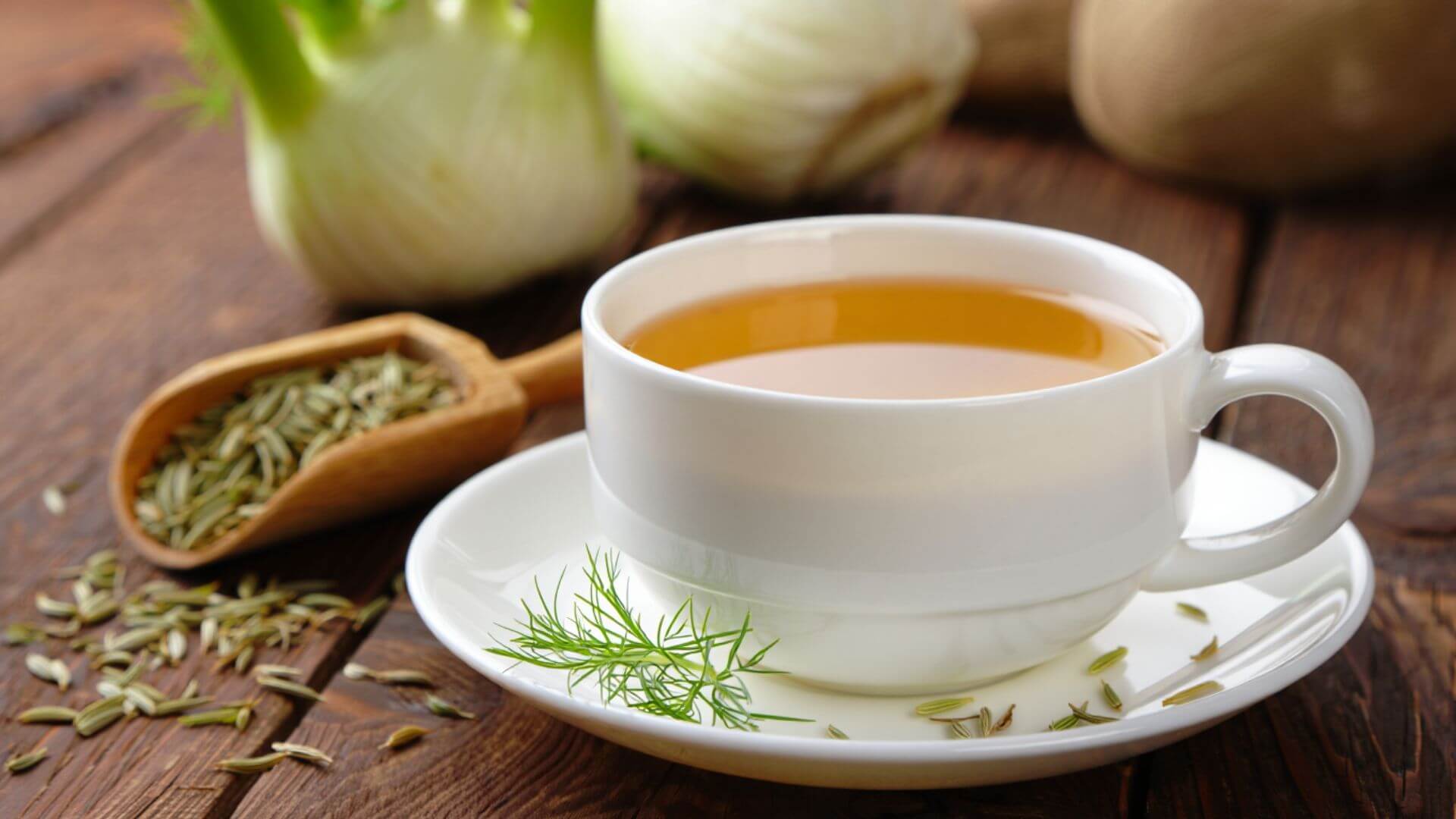 A fennel tea in a teacup surrounded by fennel seeds and plant