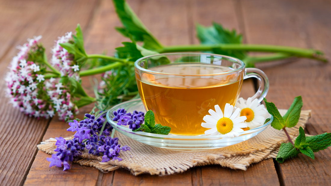 A cup of golden colored sleepy tea with chamomile, and lavender on the side, perfect for a restful sleep.