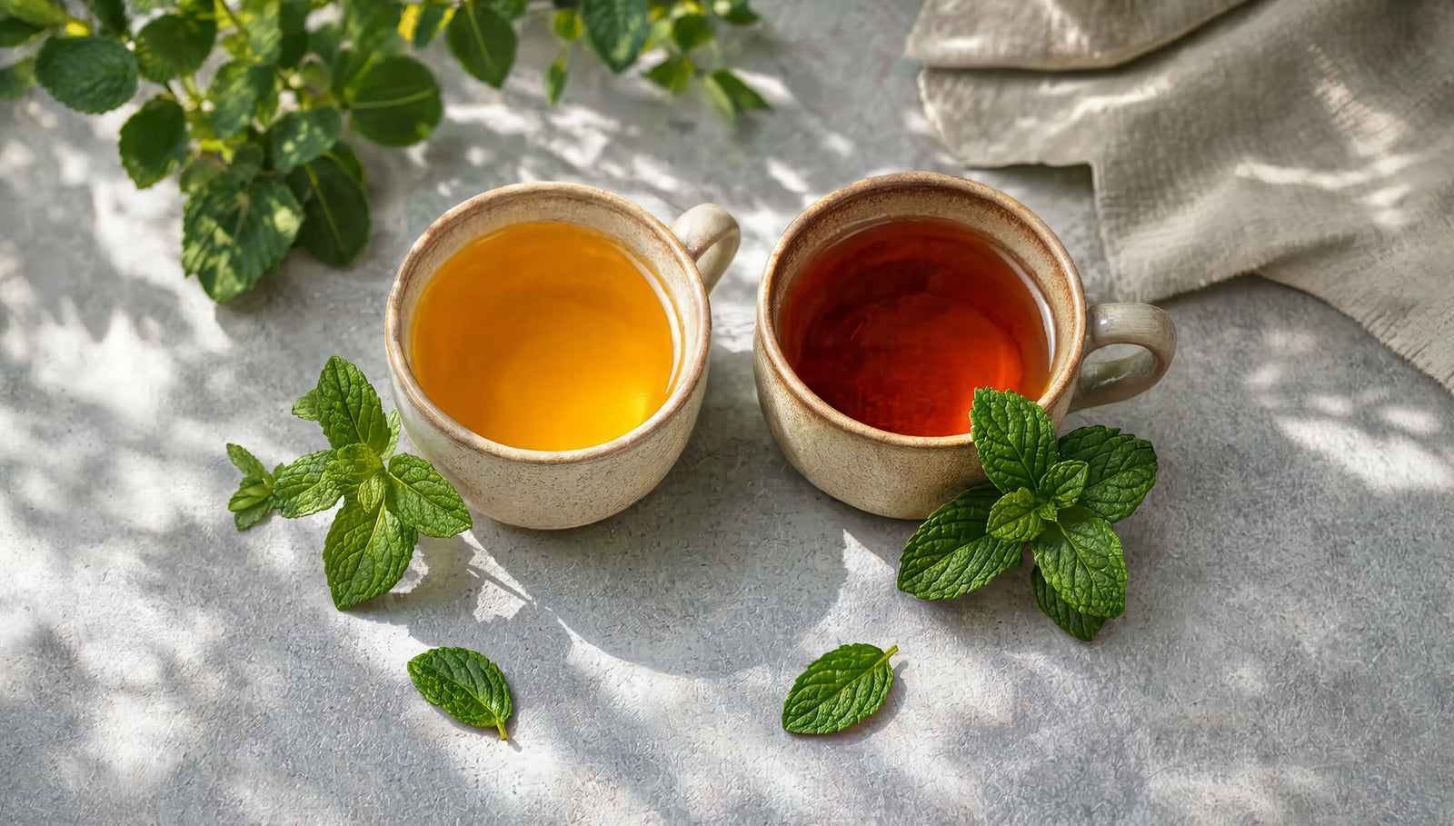 Spearmint tea and peppermint tea in ceramic cups side by side