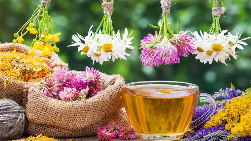 Collection of flowers with tea in a glass