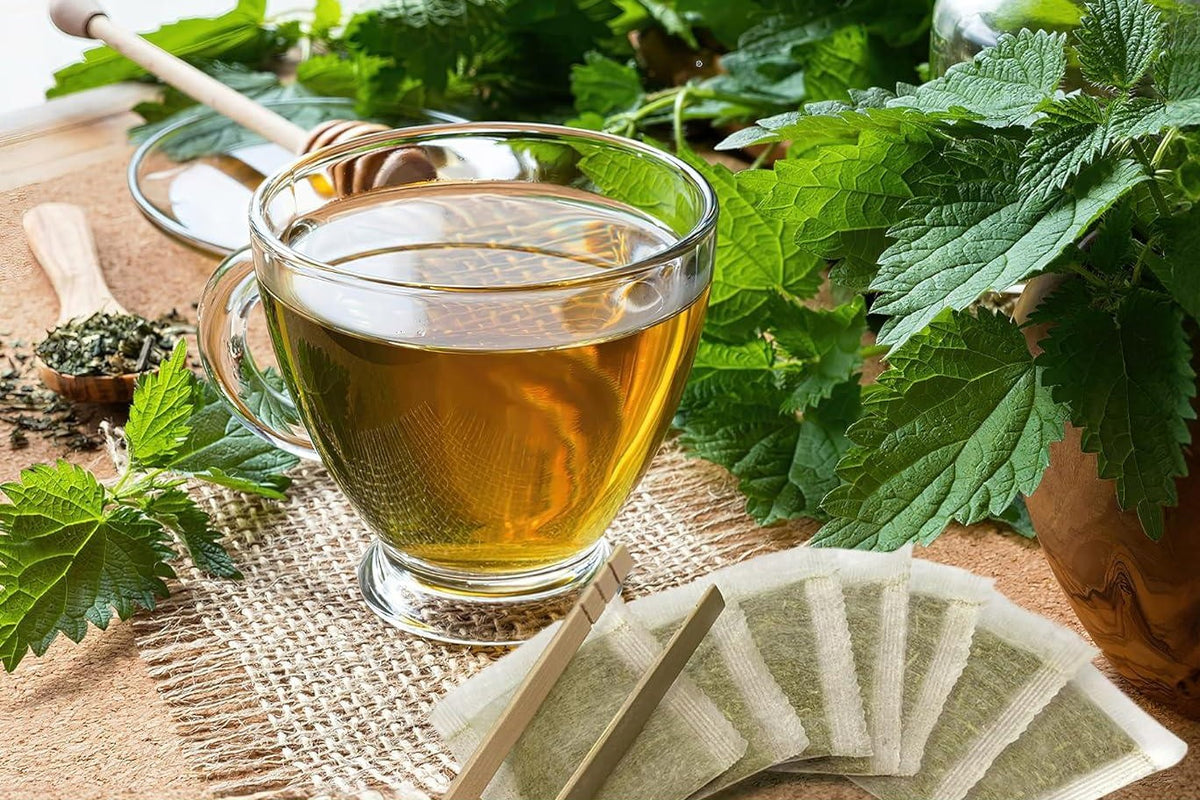 Glass cup of nettle herbal tea with fresh nettle leaves and FreshDrinkUS tea bags