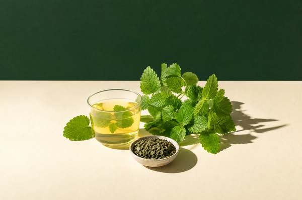 Lemon Balm Tea