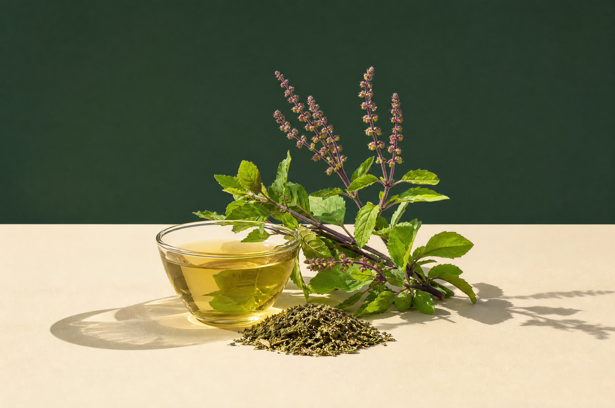 A small clear glass cup of pale greenish-gold herbal tea beside a fresh sprig of holy basil with green leaves and