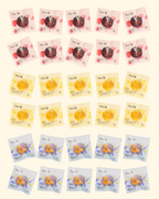 The Qi Bulk 30-Flower teas