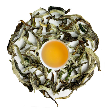 Danfe Himalayas Best White Tea loose leaf with brewed liquor, showcasing its delicate color and aroma from Ilam region.