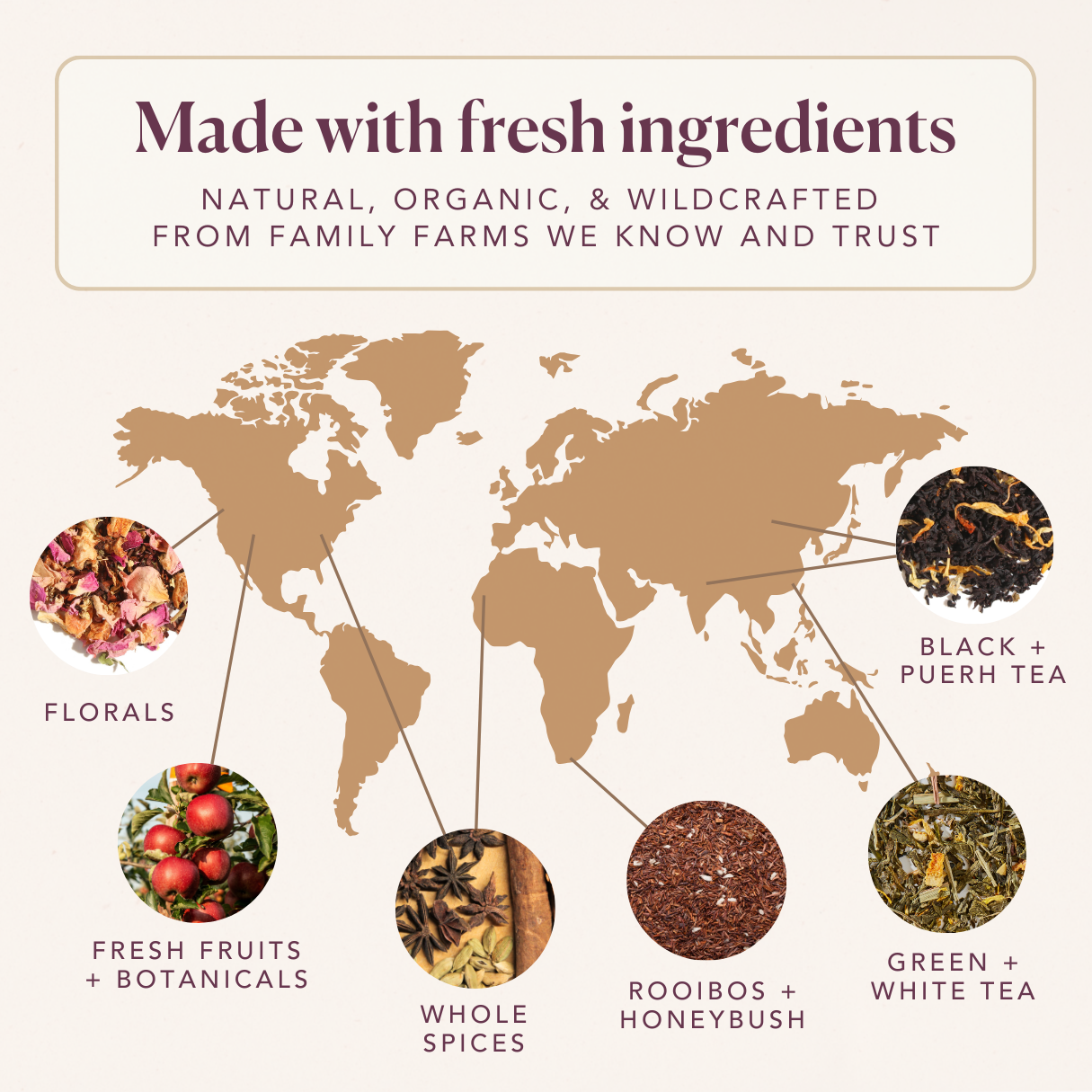 Plum Deluxe Butterfly Effect Green/White Tea (Mango / Peach)