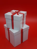 Culinary Teas Decorative Tins / Canisters (Gift Box Design)