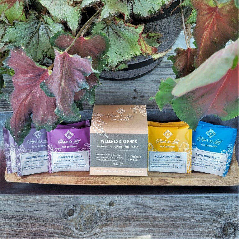 Piper and Leaf Wellness Blends- Box of 12 Tea Bags