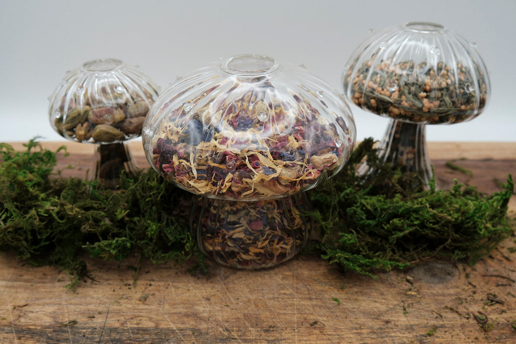 Morelitea Nalin's Nutty Floral Green Loose Leaf Tea