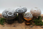 Morelitea Preston's Bourbon Barrel Loose Leaf Tea