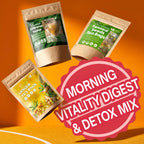 FreshDrinkUS Morning Vitality Tea Bundle — Fennel, Ginger & Lemongrass