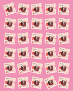 The Qi Bulk 30-Flower teas