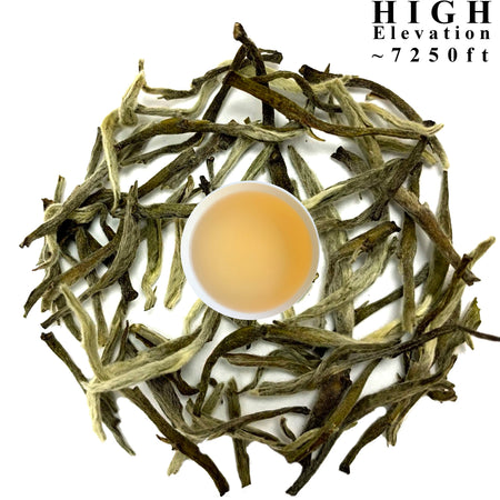 Danfe Silver Needle Tea, loose-leaf tea leaves displayed with brewed liquor, sourced from Ilam at high elevation.