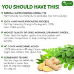 FreshDrinkUS - Natural and Premium Herbal Super Moringa Herbal Tea, Improve Digestion, Support Brain, Weight, Skin and Sleep, Eco-Conscious Tea Bags