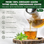 Premium Oregano Herbal Tea with Jasmine-Like Notes | Blend of Oregano, Thyme & Lemongrass