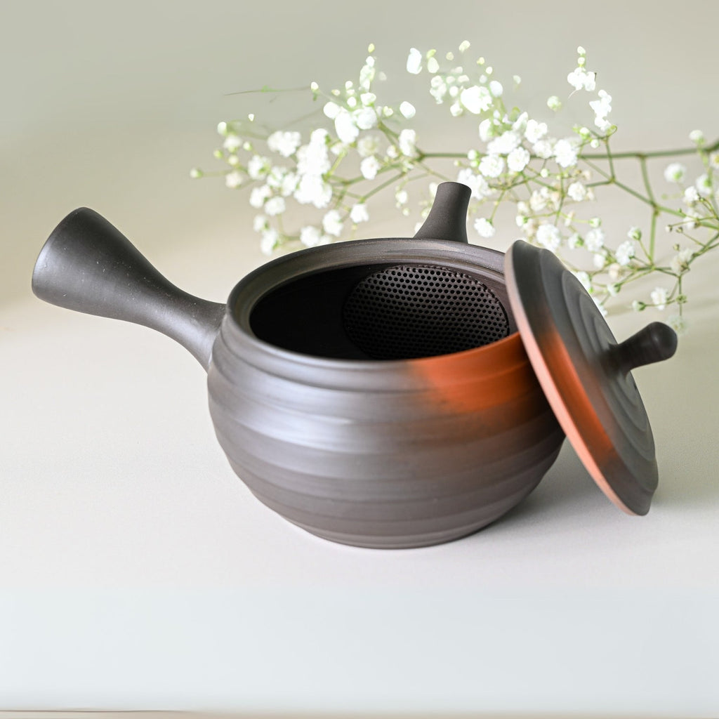 Aprika Life Japanese Kyusu Set - Teapot with Filters (270ml) and Two Cups