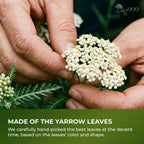 Premium Yarrow Tea Leaves | Naturally Aromatic, Freshly Packed Loose Leaf Yarrow Herbal Tea