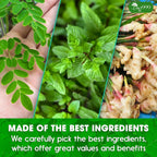 FreshDrinkUS - Natural and Premium Herbal Super Moringa Herbal Tea, Improve Digestion, Support Brain, Weight, Skin and Sleep, Eco-Conscious Tea Bags