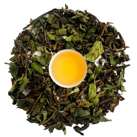 Danfe Spearmint PCOS Power Potion Tea in a cup, showcasing the herbal blend with spearmint, green tea, and moringa leaves.