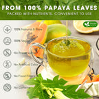 Premium Papaya Leaf Tea Bags, Made with Natural Material Tea Bags. No Sugar, No Caffeine, No Gluten, Vegan. Herbal Tea