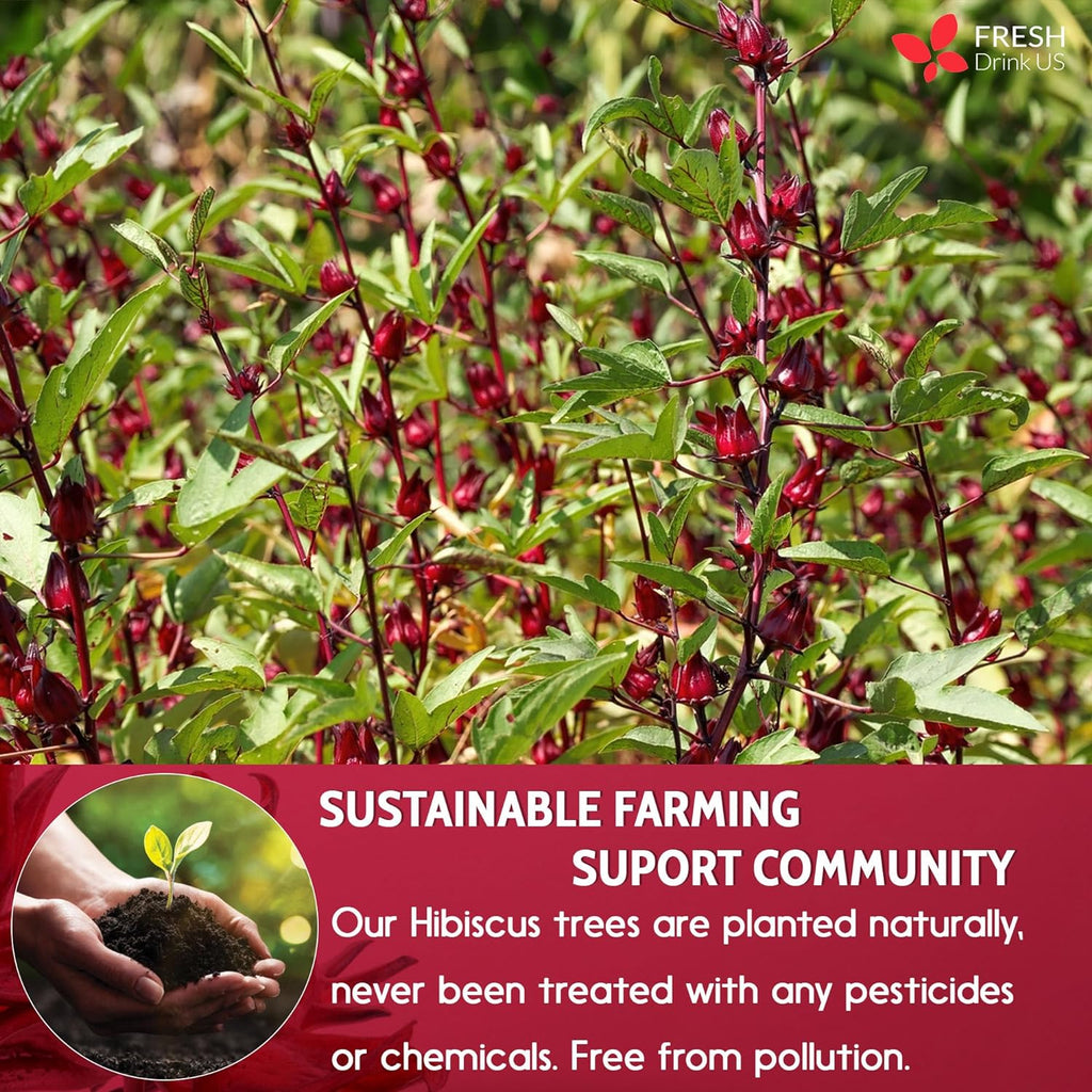 FreshDrinkUS Hibiscus Flower Tea Bags