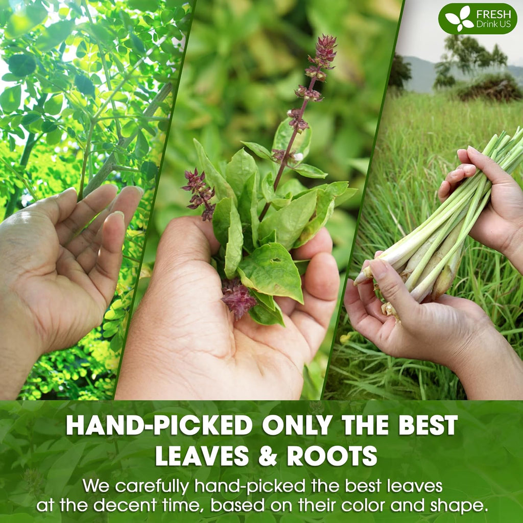 Premium Tulsi Moringa Lemongrass  Tea Bags, 100% Natural & Pure from Tulsi Holy Basil Leaves, Moringa & Lemongrass. Herbal Tea