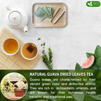 Premium Guava Leaf Tea Bags Herbal Tea
