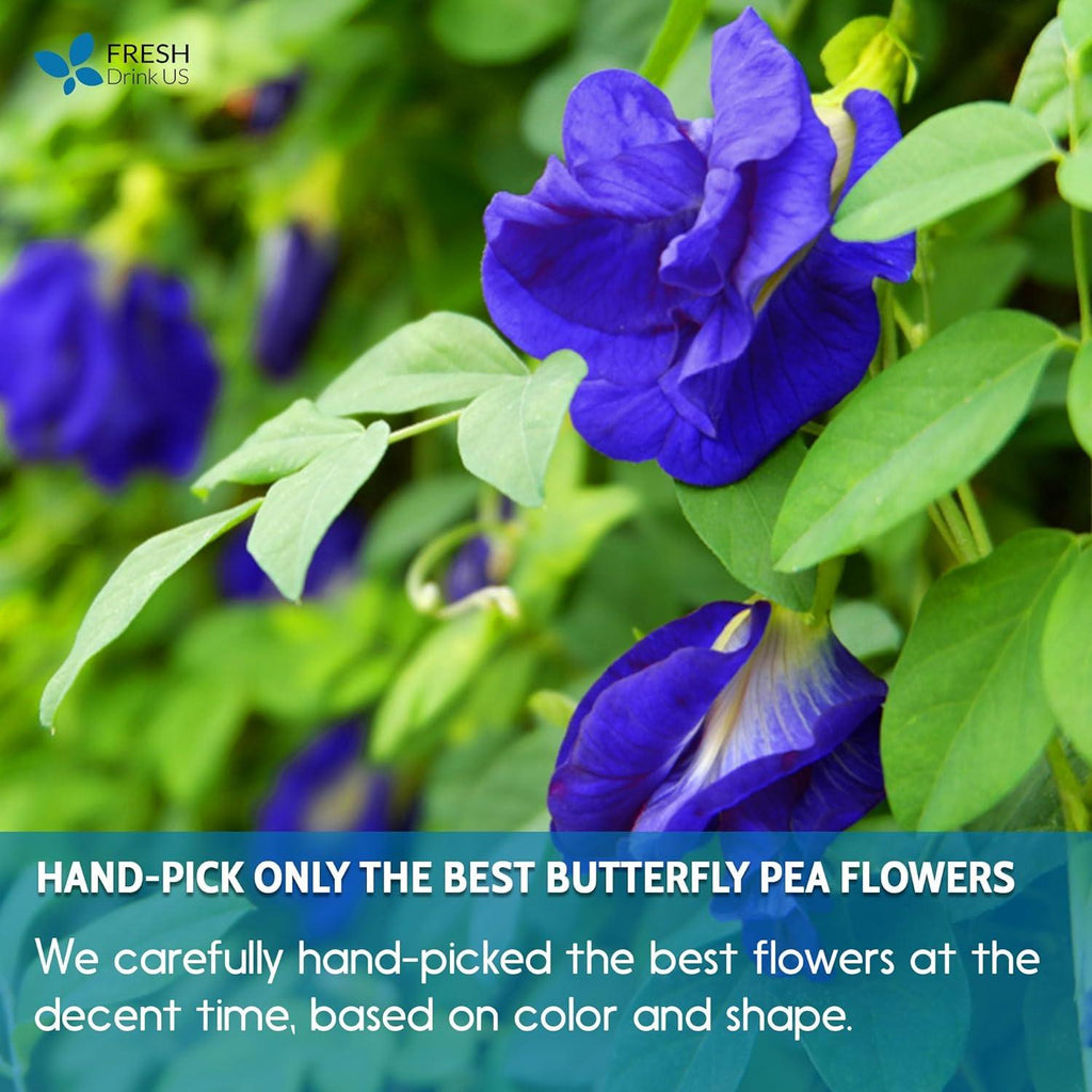 Premium Butterfly Pea Flowers, Tea Bags, 100% Natural and Pure from Butterfly Pea Flowers, Hand-made, Made With Natural Materials-Corn Fiber Tea Bag, Sugar/Caffeine/Gluten Free Herbal Tea