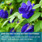 Premium Butterfly Pea Flowers, Tea Bags, 100% Natural and Pure from Butterfly Pea Flowers, Hand-made, Made With Natural Materials-Corn Fiber Tea Bag, Sugar/Caffeine/Gluten Free Herbal Tea