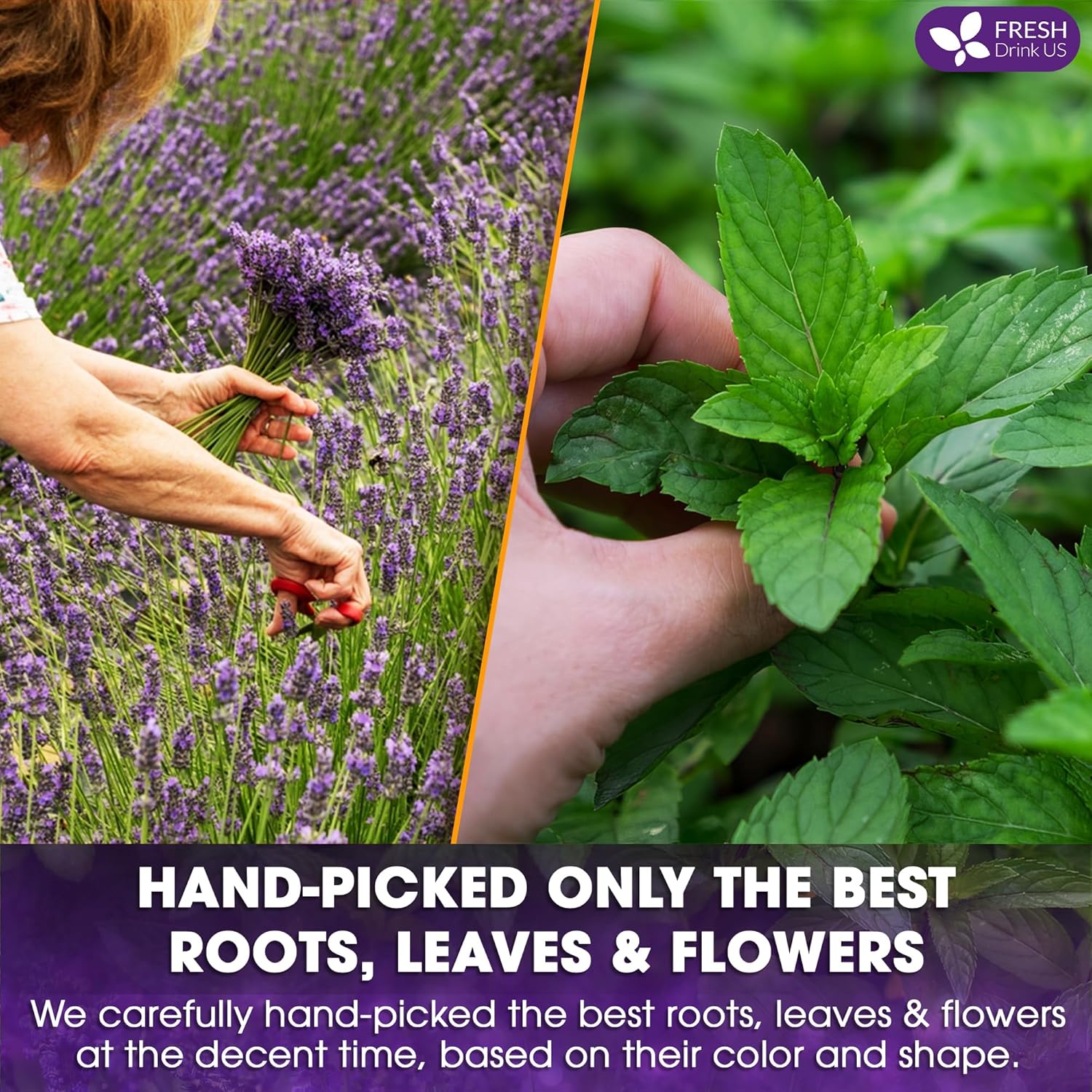 Premium Lavender Mint Tea Bags. 100% Natural, Blend of Lavender, Peppermint, Sage and Licorice. Herbal Tea