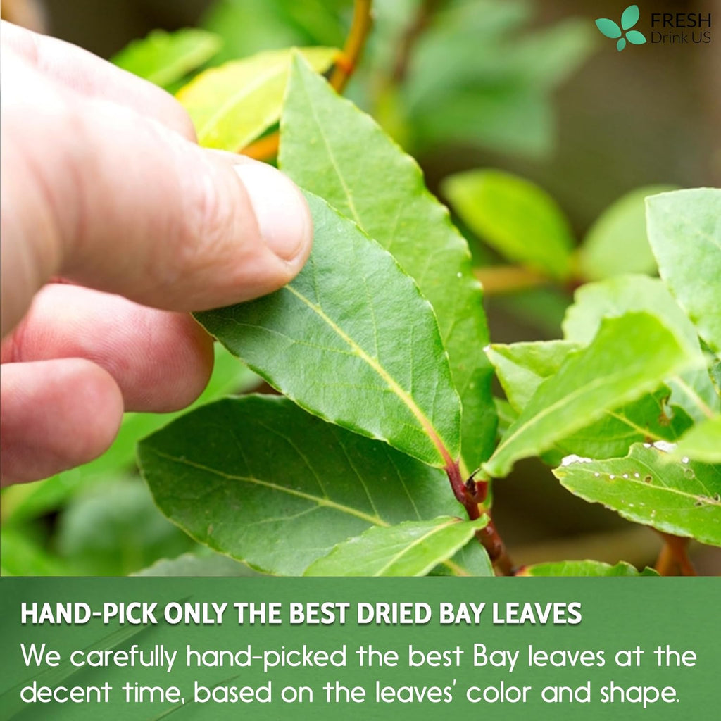 Premium Dried Bay Leaves, Tea Bags, Powder, Bay Leaves Spice, Whole Nice Leaves, Wildcrafted, Fresh Harvested, Bay Leaves For Cooking, Sugar-Free, Gluten Free, Caffeine Free, Vegan Herbal Tea
