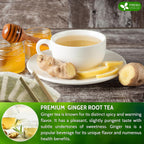 FreshDrinkUS Morning Vitality Tea Bundle — Fennel, Ginger & Lemongrass