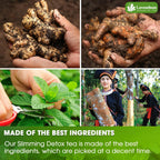 FreshDrinkUS - Natural and Premium Herbal SIimming Detox Tea Caffeine Free - Herbal Tea with Chamomile, Hibiscus Tea & Ginger Root