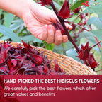 FreshDrinkUS Hibiscus Flower Tea Bags