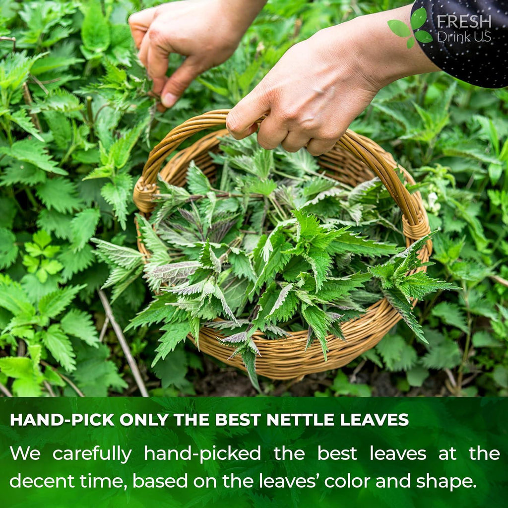 Premium Nettle Leaf Tea Bags, 100% Natural & Pure, Stinging Nettle Leaf Tea, Nettle Leaf Tea, Burn Nettle, Stinging Nettle, Nettle Tea, Stinger Tea, No Sugar/Caffeine & Gluten, Vegan Herbal Tea