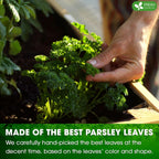 Premium Parsley Leaf Tea Bags, 100% Natural & Pure from Parsley Leaves. Herbal Tea