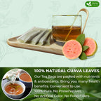 Premium Guava Leaf Tea Bags Herbal Tea