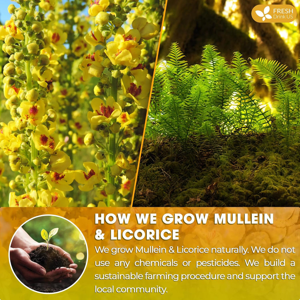 Premium Mullein Licorice Tea Bags. 100% Natural, Blend of Mullein Leaves, and Licorice Root. Herbal Tea