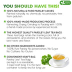 Premium Parsley Leaf Tea Bags, 100% Natural & Pure from Parsley Leaves. Herbal Tea