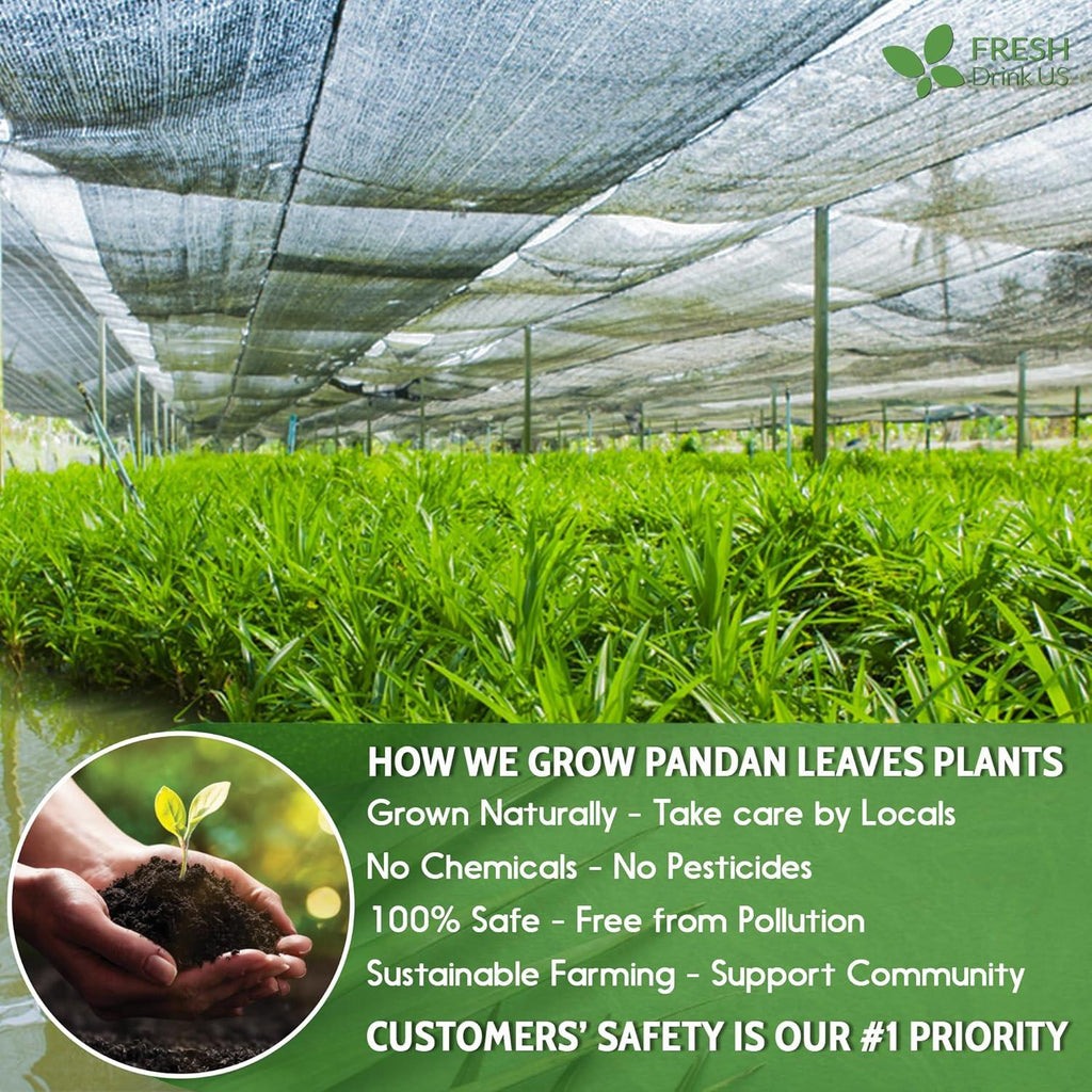 Natural Pandan Leaves Dried, Pandan Leaf Powder, 100% Pure Dried Pandan Leaves, Pandan Leaf Tea, No Additives, No Caffeine, Vegan Herbal Tea