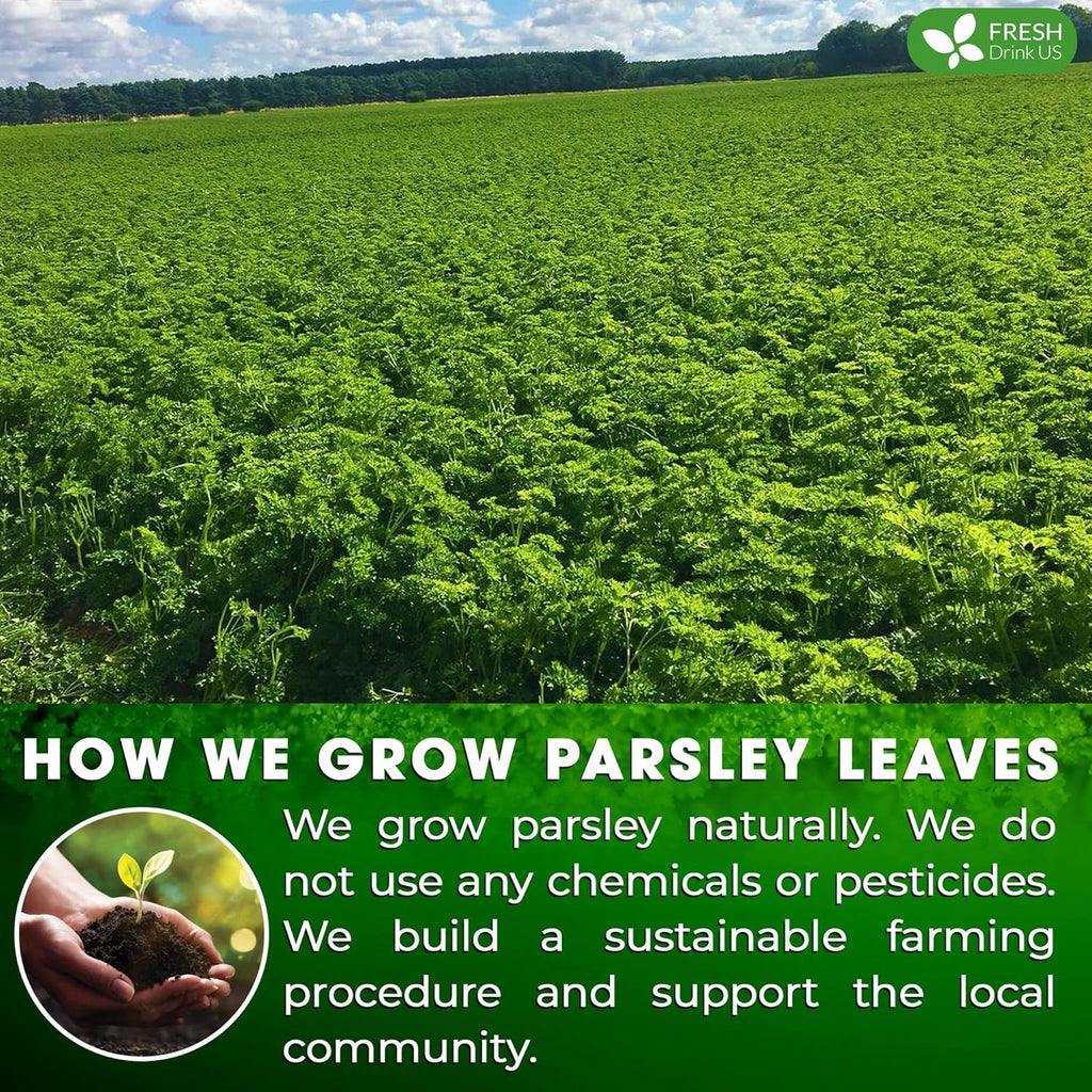 Premium Parsley Leaf Tea Bags, 100% Natural & Pure from Parsley Leaves. Herbal Tea