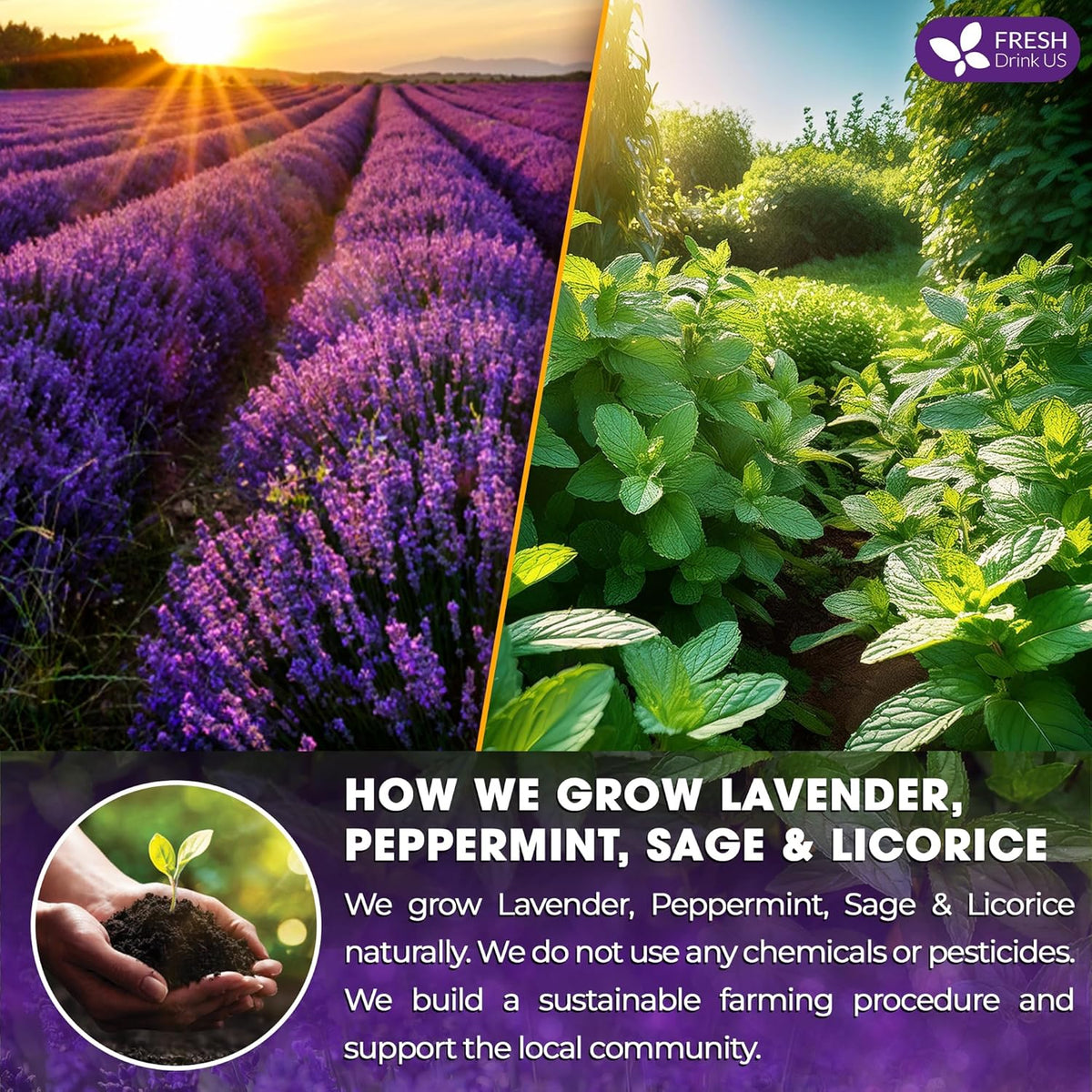 Premium Lavender Mint Tea Bags. 100% Natural, Blend of Lavender, Peppermint, Sage and Licorice. Herbal Tea