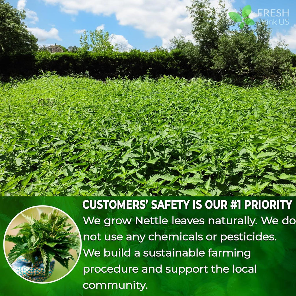 Premium Nettle Leaf Tea Bags, 100% Natural & Pure, Stinging Nettle Leaf Tea, Nettle Leaf Tea, Burn Nettle, Stinging Nettle, Nettle Tea, Stinger Tea, No Sugar/Caffeine & Gluten, Vegan Herbal Tea