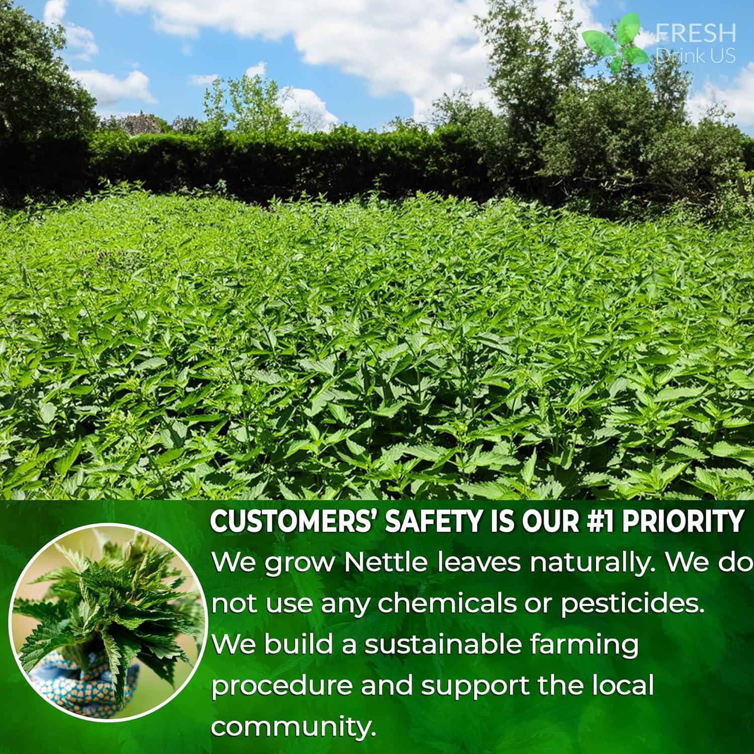 Premium Nettle Leaf Tea Bags, 100% Natural & Pure, Stinging Nettle Leaf Tea, Nettle Leaf Tea, Burn Nettle, Stinging Nettle, Nettle Tea, Stinger Tea, No Sugar/Caffeine & Gluten, Vegan Herbal Tea